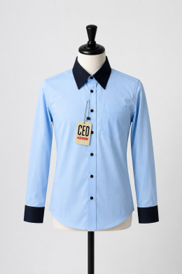 BT light blue blouse